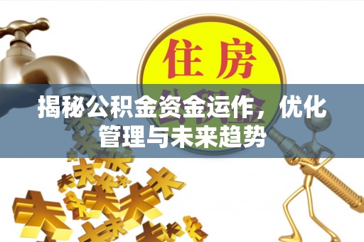 隆安揭秘公积金资金运作，优化管理与未来趋势