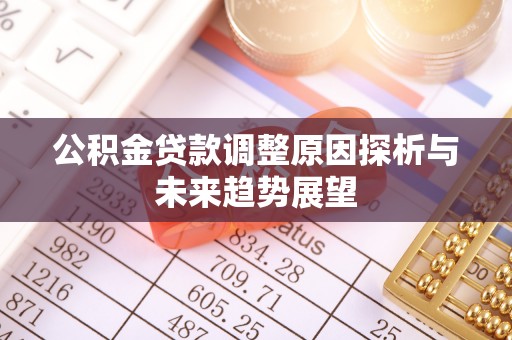 隆安公积金贷款调整原因探析与未来趋势展望