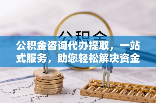 隆安公积金咨询代办提取，一站式服务，助您轻松解决资金难题