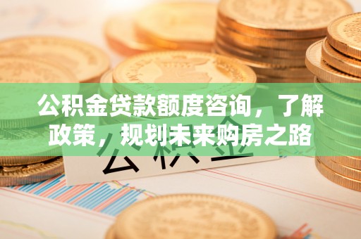 隆安公积金贷款额度咨询，了解政策，规划未来购房之路