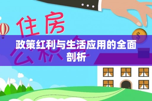 隆安政策红利与生活应用的全面剖析