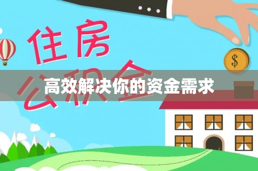 隆安高效解决你的资金需求