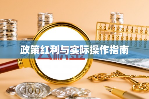 隆安政策红利与实际操作指南