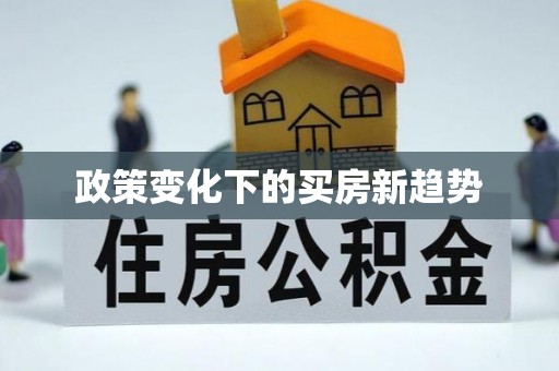 隆安政策变化下的买房新趋势