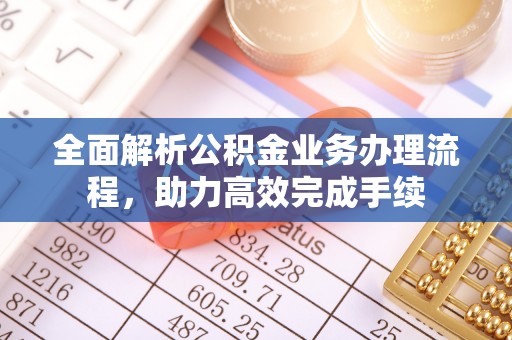 隆安全面解析公积金业务办理流程，助力高效完成手续