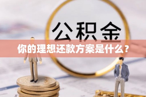 隆安你的理想还款方案是什么？