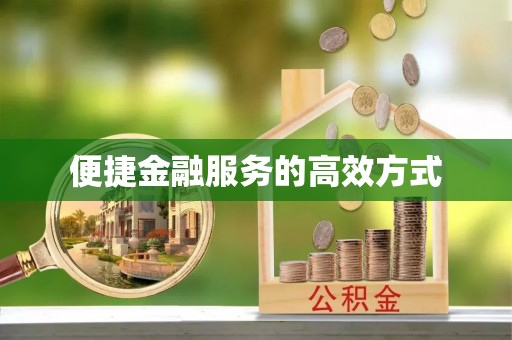 隆安便捷金融服务的高效方式