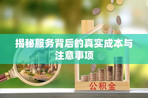 隆安揭秘服务背后的真实成本与注意事项