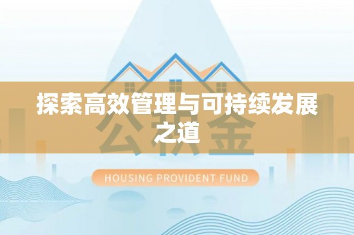隆安探索高效管理与可持续发展之道