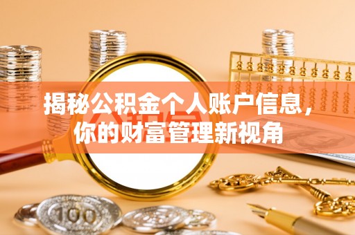隆安揭秘公积金个人账户信息，你的财富管理新视角