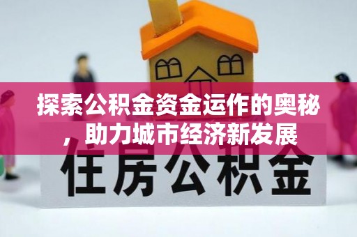 隆安探索公积金资金运作的奥秘，助力城市经济新发展