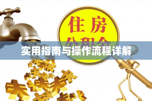 隆安实用指南与操作流程详解