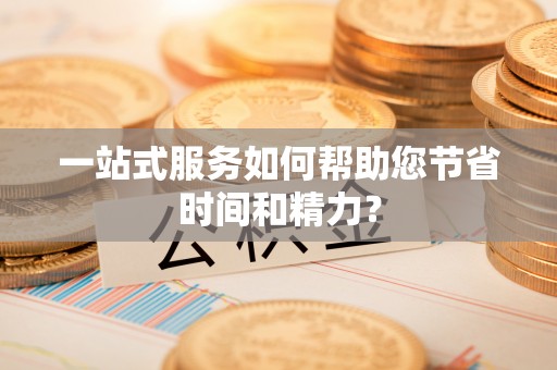 隆安一站式服务如何帮助您节省时间和精力？