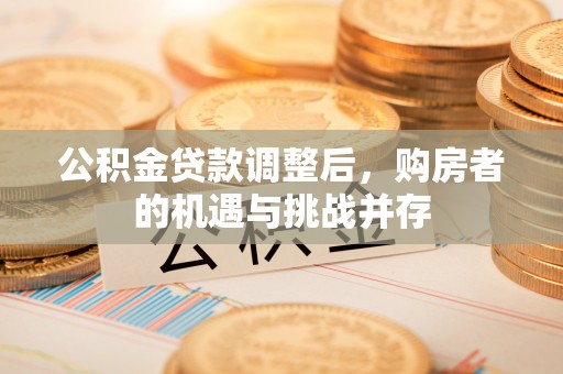 隆安公积金贷款调整后，购房者的机遇与挑战并存