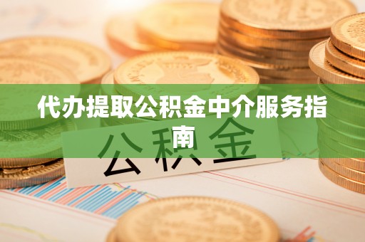隆安代办提取公积金中介服务指南