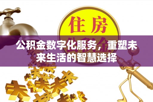 隆安公积金数字化服务，重塑未来生活的智慧选择