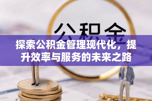 隆安探索公积金管理现代化，提升效率与服务的未来之路