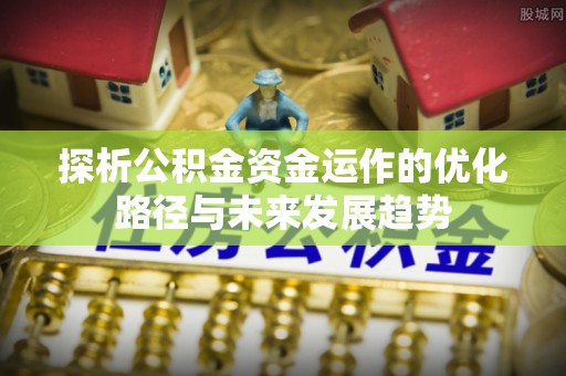 隆安探析公积金资金运作的优化路径与未来发展趋势