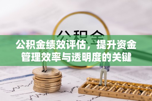 隆安公积金绩效评估，提升资金管理效率与透明度的关键