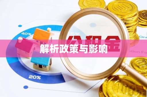 隆安解析政策与影响