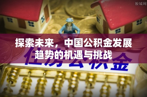 隆安探索未来，中国公积金发展趋势的机遇与挑战