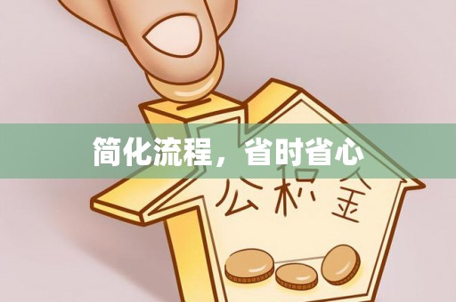 隆安简化流程，省时省心