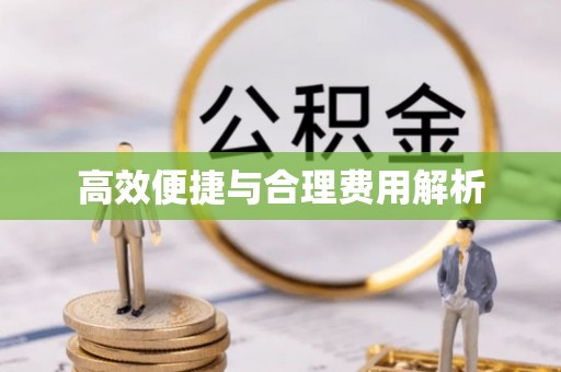 隆安高效便捷与合理费用解析
