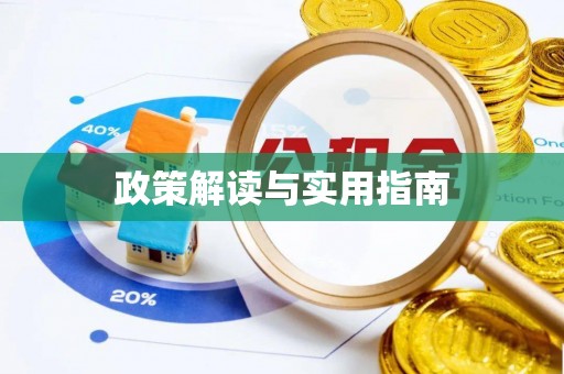 隆安政策解读与实用指南