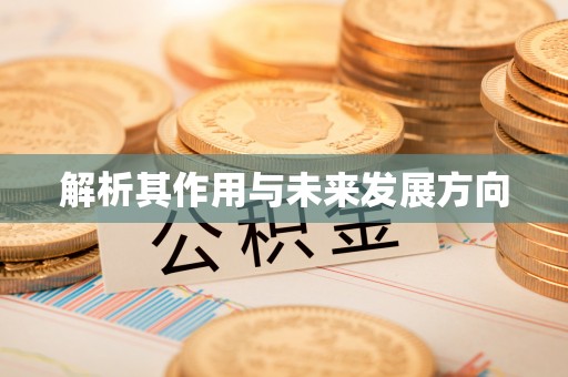隆安解析其作用与未来发展方向