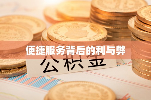 隆安便捷服务背后的利与弊