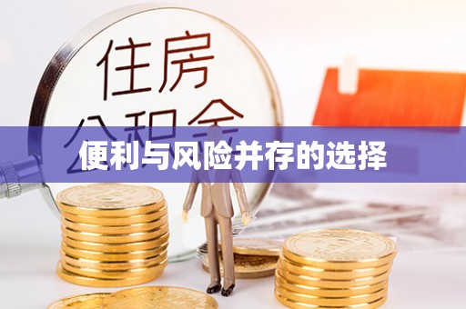 隆安便利与风险并存的选择