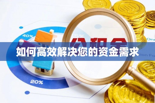 隆安如何高效解决您的资金需求