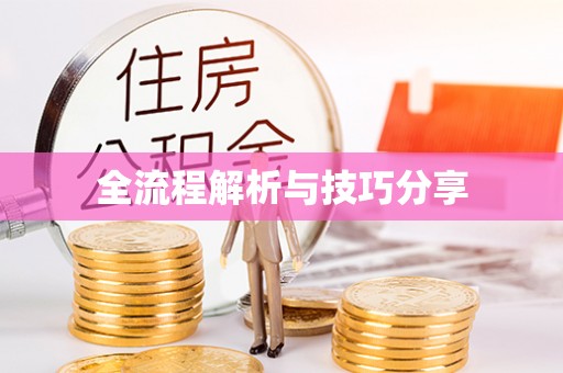 隆安全流程解析与技巧分享
