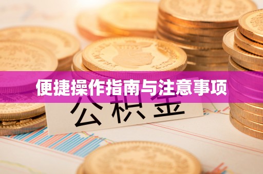 隆安便捷操作指南与注意事项