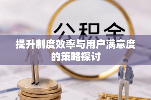 隆安提升制度效率与用户满意度的策略探讨