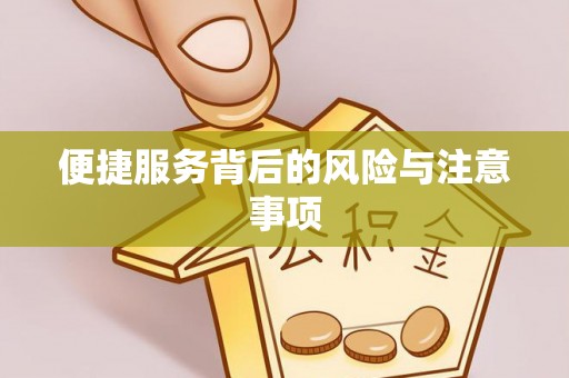 隆安便捷服务背后的风险与注意事项