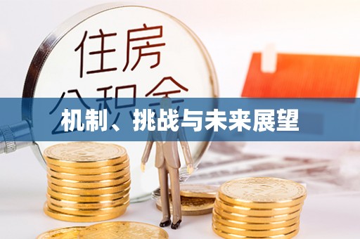 隆安机制、挑战与未来展望